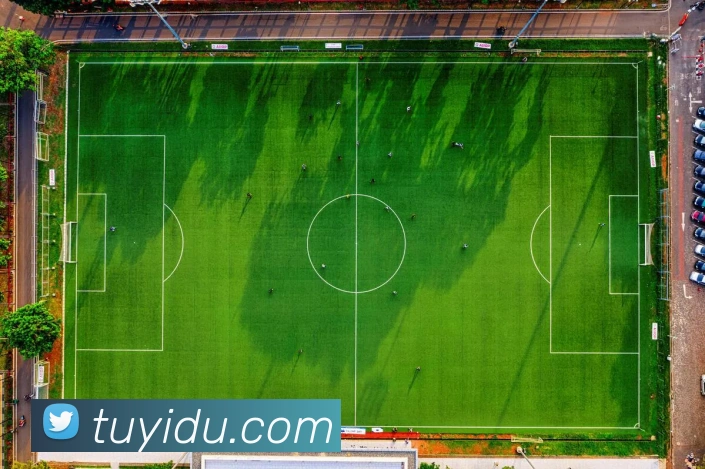 App Interface Preview